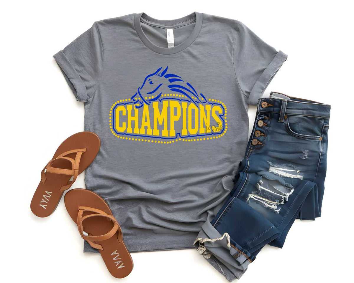 ECES Champions 17 - Transfer