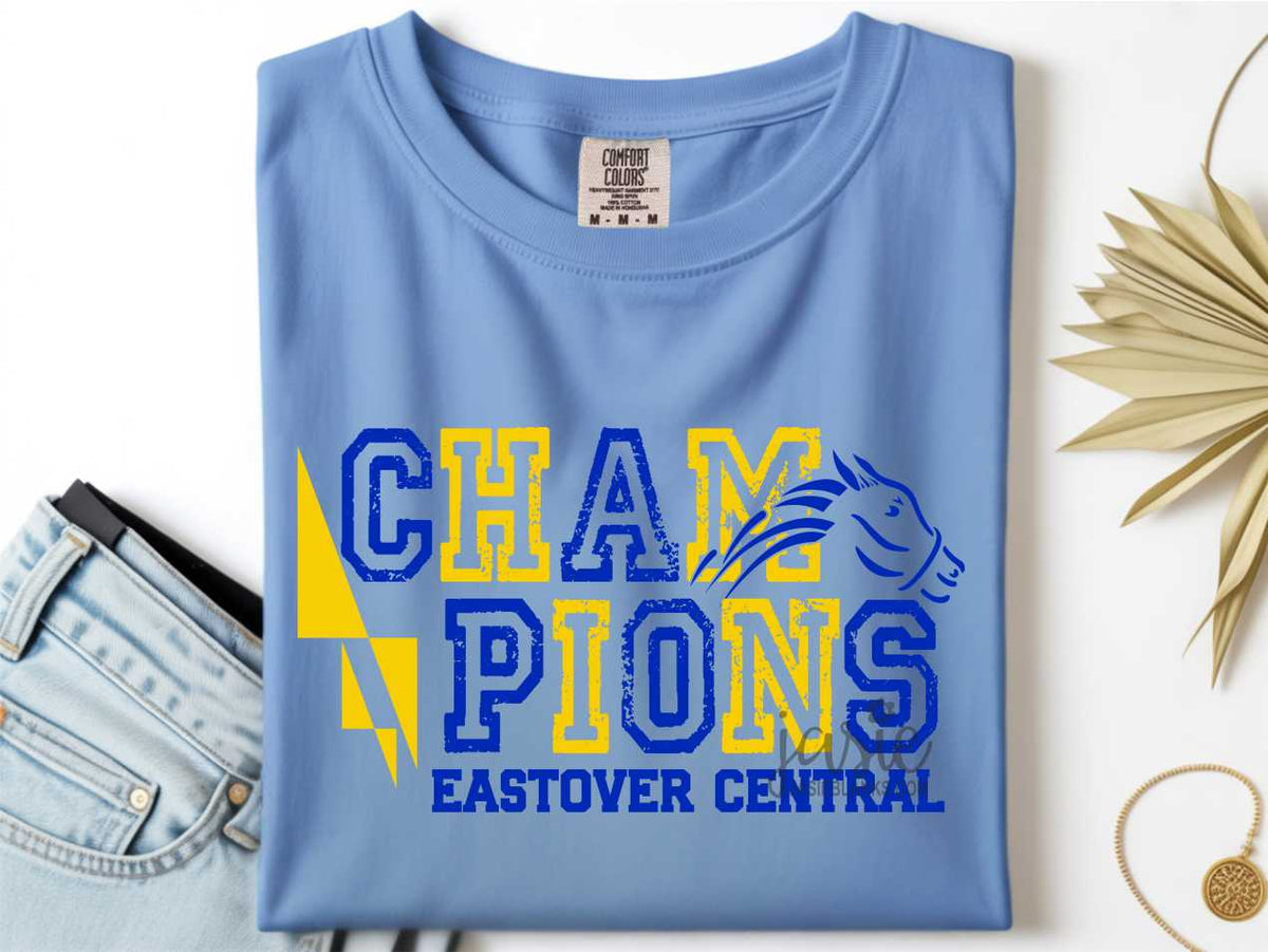 ECES Champions 4 - Transfer