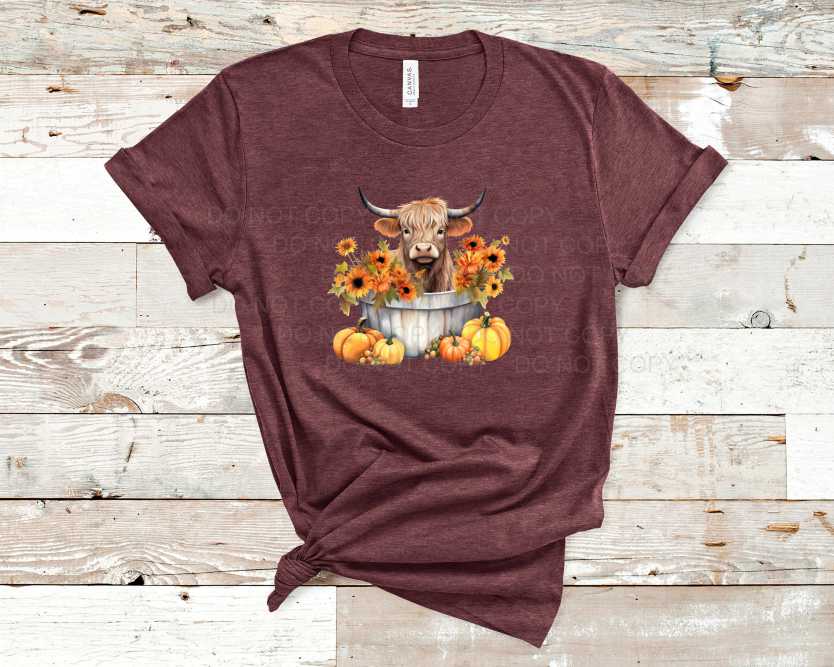 Fall Highland Bath 3 - Transfer