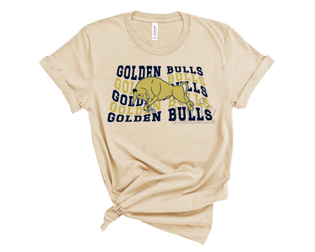 Golden Bulls 15 - Transfer