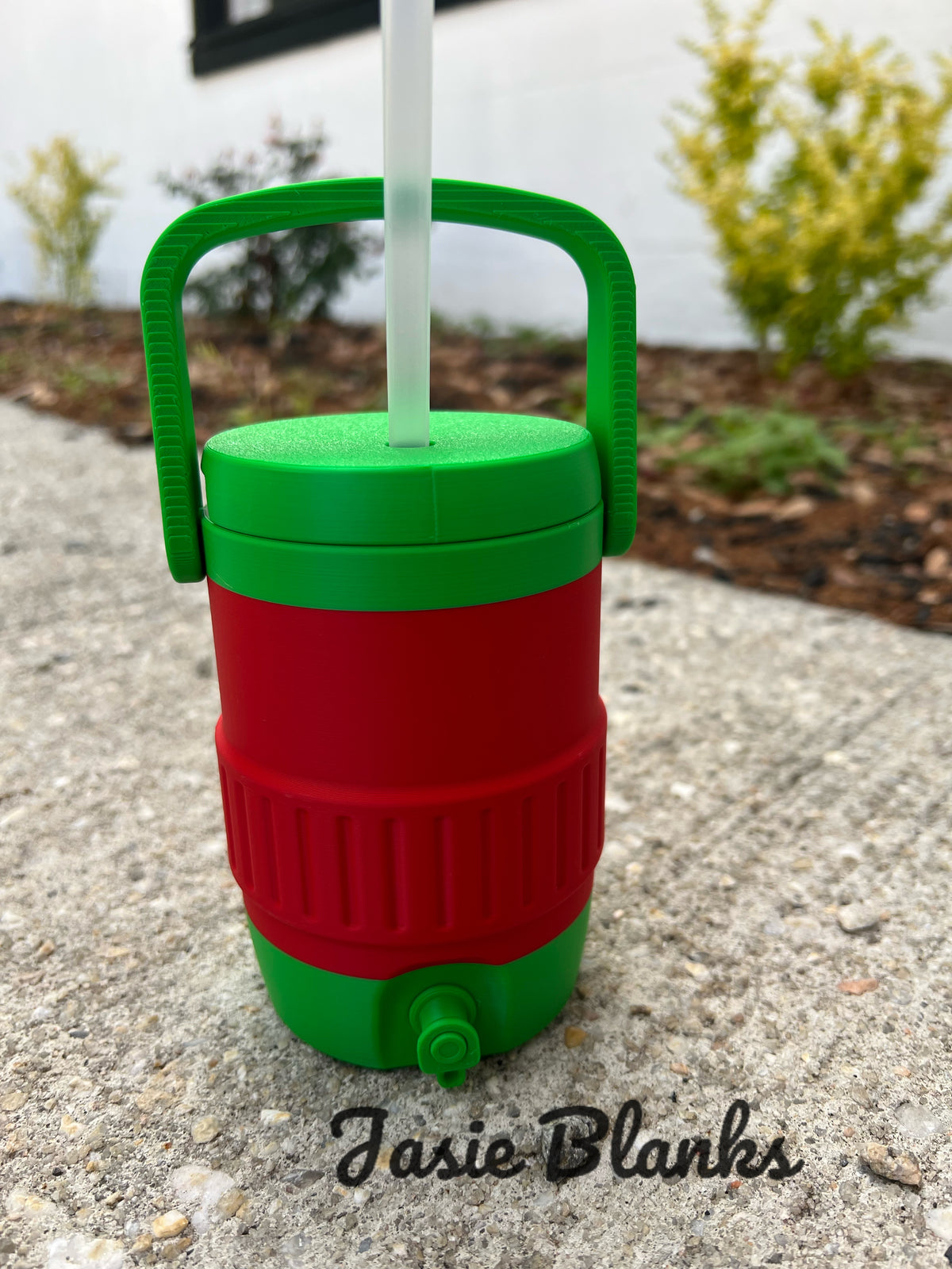 3D - 12oz Can Cooler - Watermelon