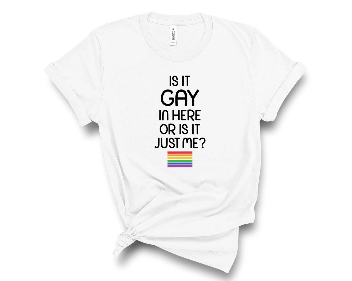 Is It Gay In Here or Just Me- Transfer