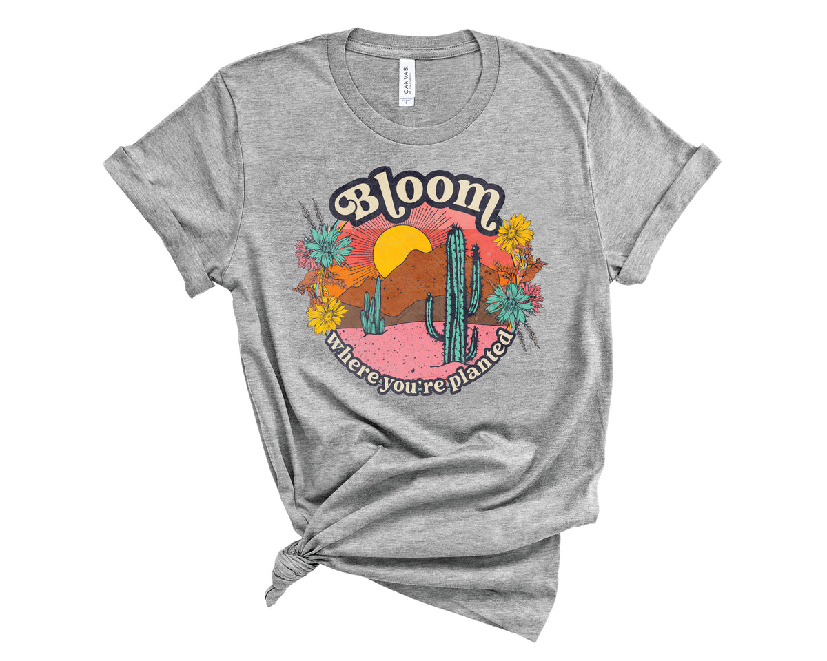 Bloom Desert - Transfer