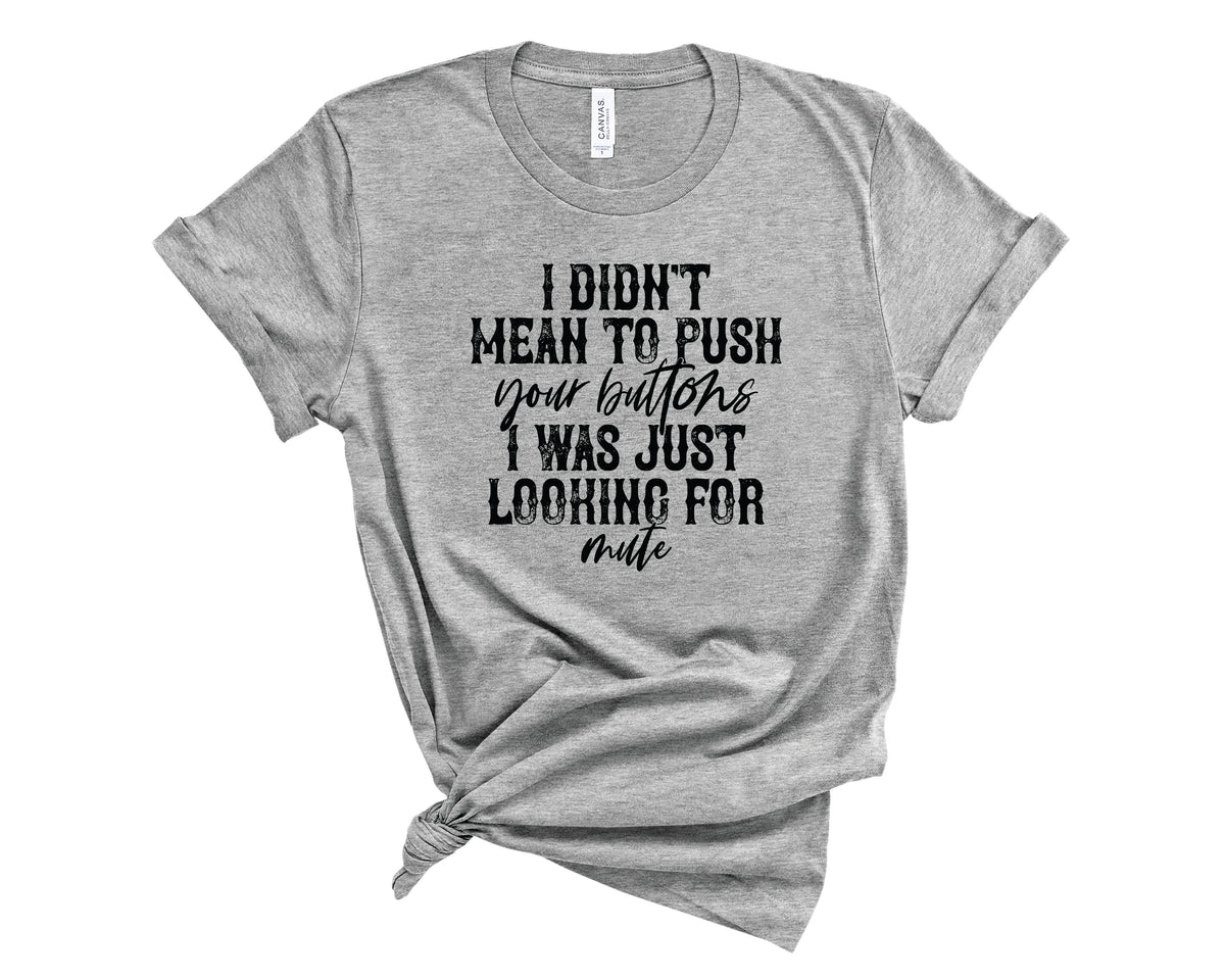 Didn't Mean To Push Your Buttons - Transfer