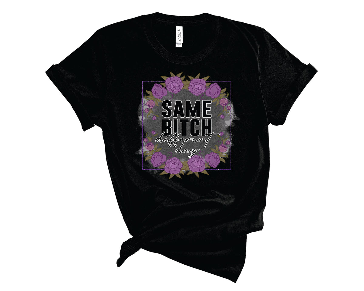 Same Bitch Different Day - Transfer
