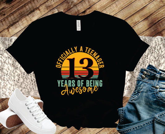 13 Years Of Being Awesome - Transfer