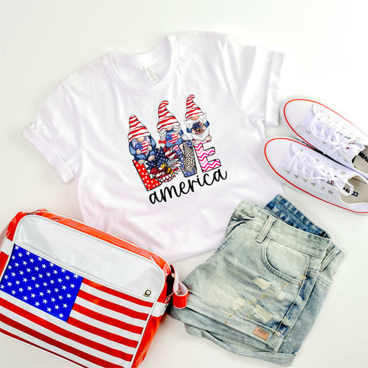 3 Gnome America Love - Transfer