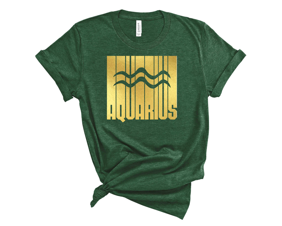 Aquarius Stripe Zodiac- Transfer