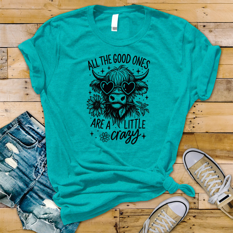 All The Good Ones Are A Little Crazy - Transfer