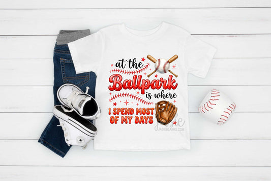 At The Ballpark is Where I Spend Most My Days - Transfer