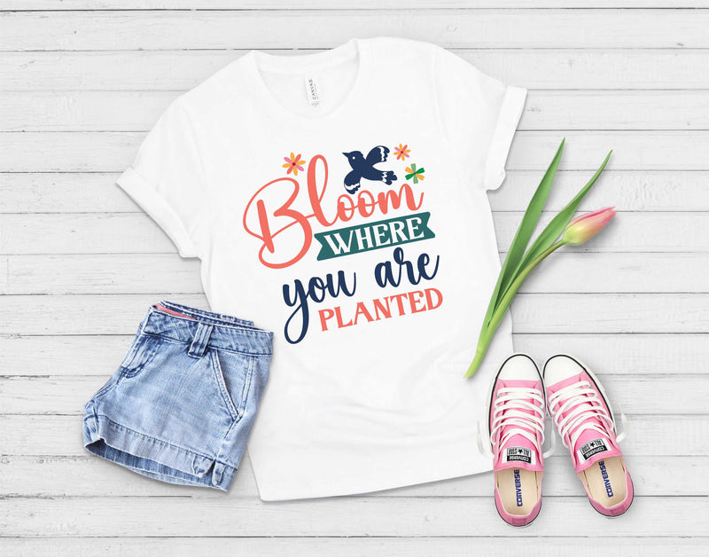 Bloom Where You Are Planted - Transfer