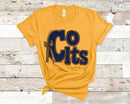 CFHS Colts 7 Blue - Transfer