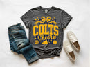 CFHS Colts Cheer 11 - Transfer