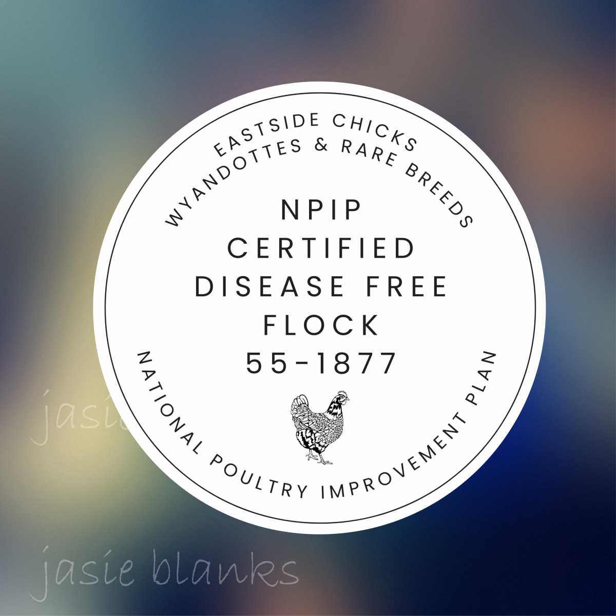 Chicken Breeder Custom NPIP Sticker