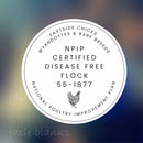 Chicken Breeder Custom NPIP Sticker