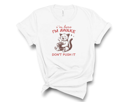 Dont Push It - Transfer