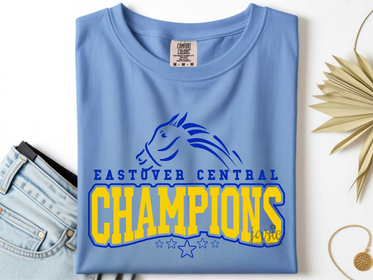 ECES Champions 21 - Transfer