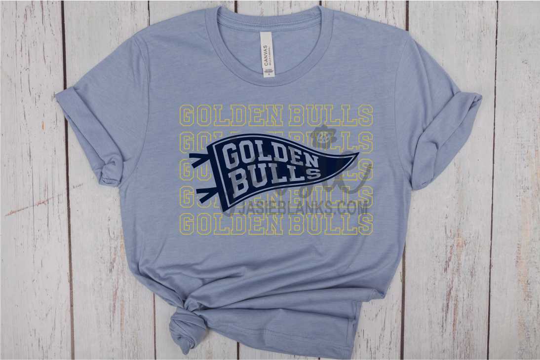 Golden Bulls 7 - Transfer