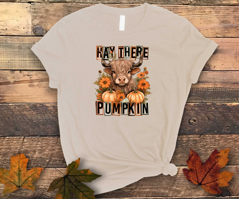 Hay There Pumpkin - Graphic Tee