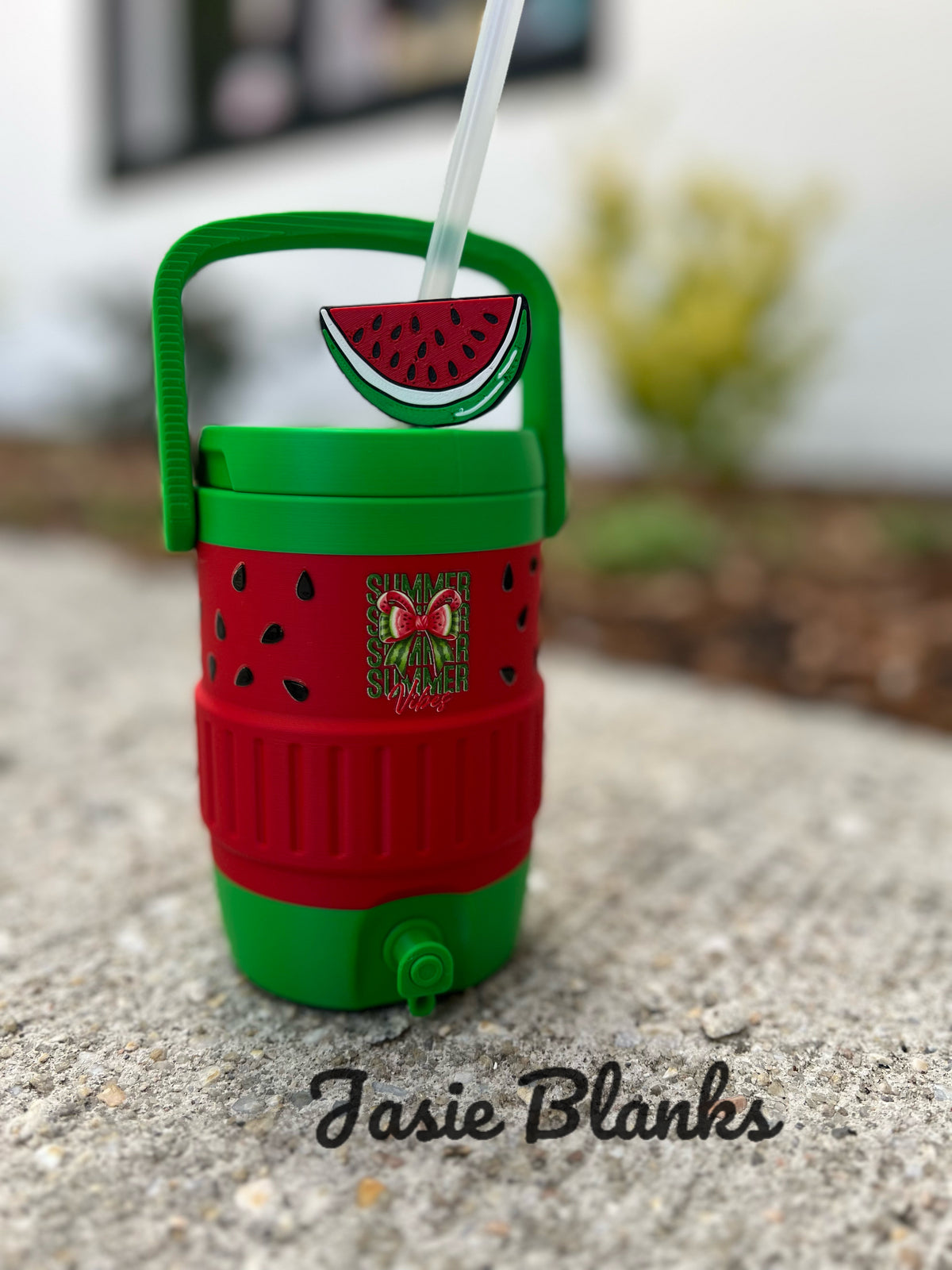 3D - 12oz Can Cooler - Watermelon