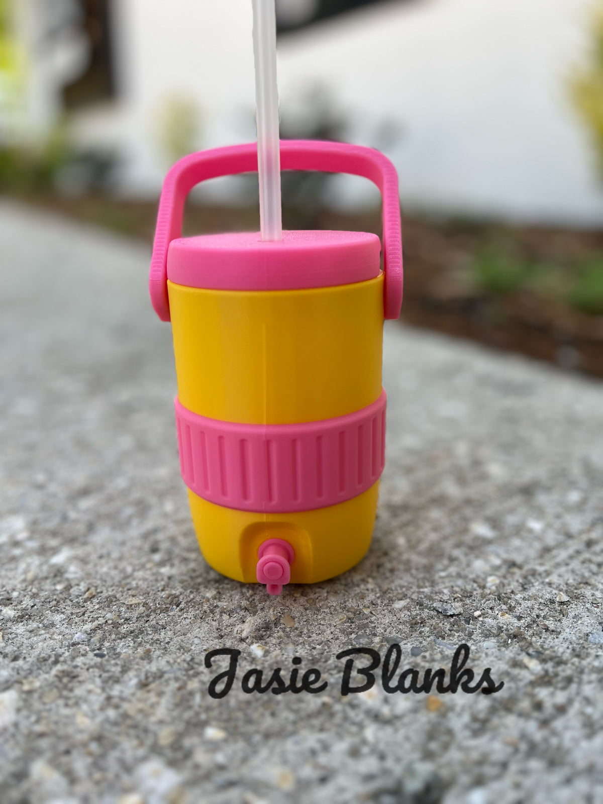 3D - 12oz Can Cooler - Pink Lemonade