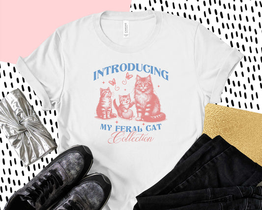 Introducing My Feral Cat Collection- transfer