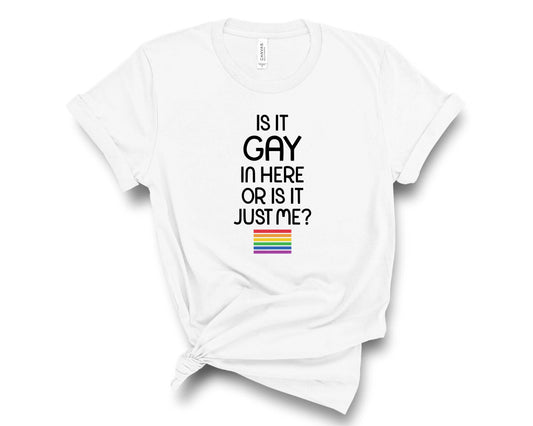Is It Gay In Here or Just Me- Transfer