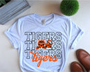 SSES Tigers 3 - Transfer