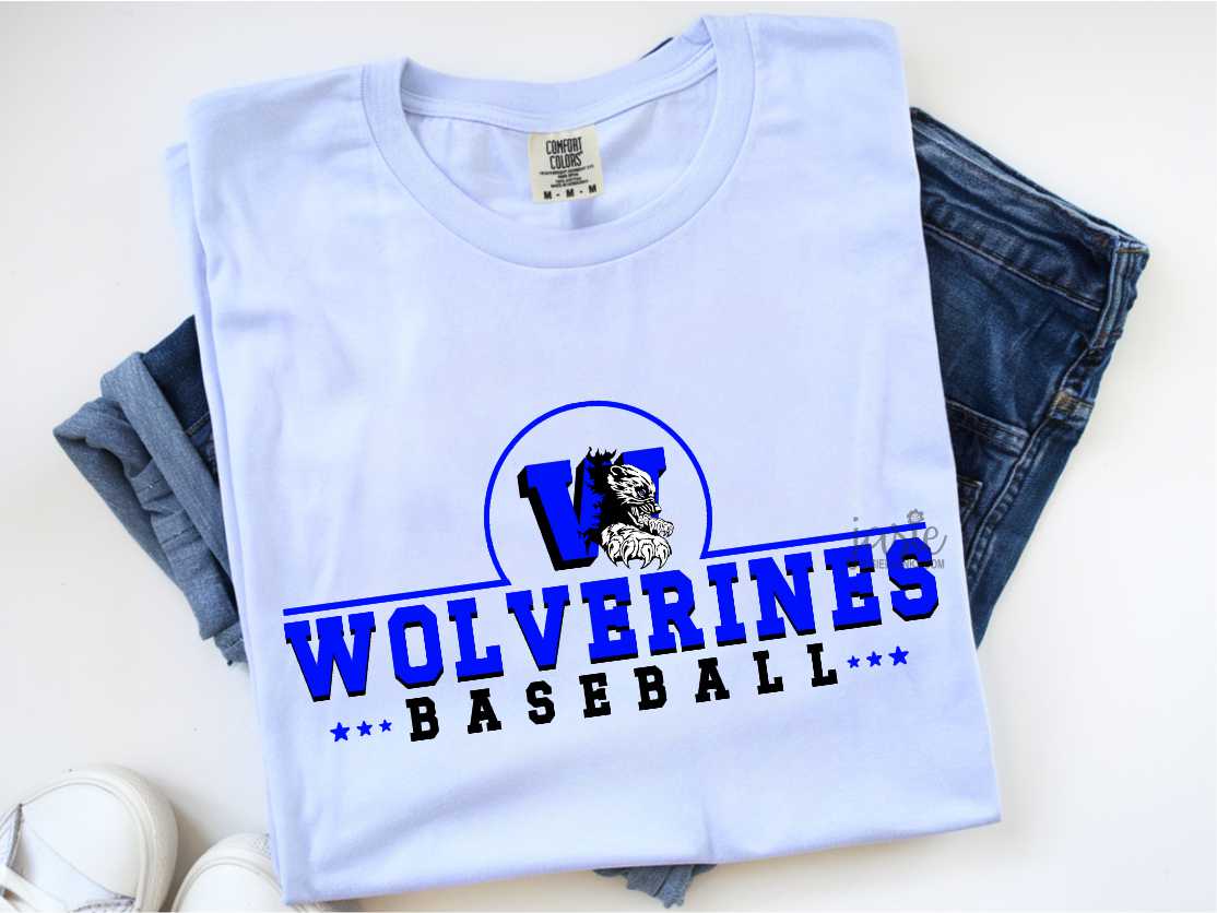 WOHS Baseball 5 - Transfer
