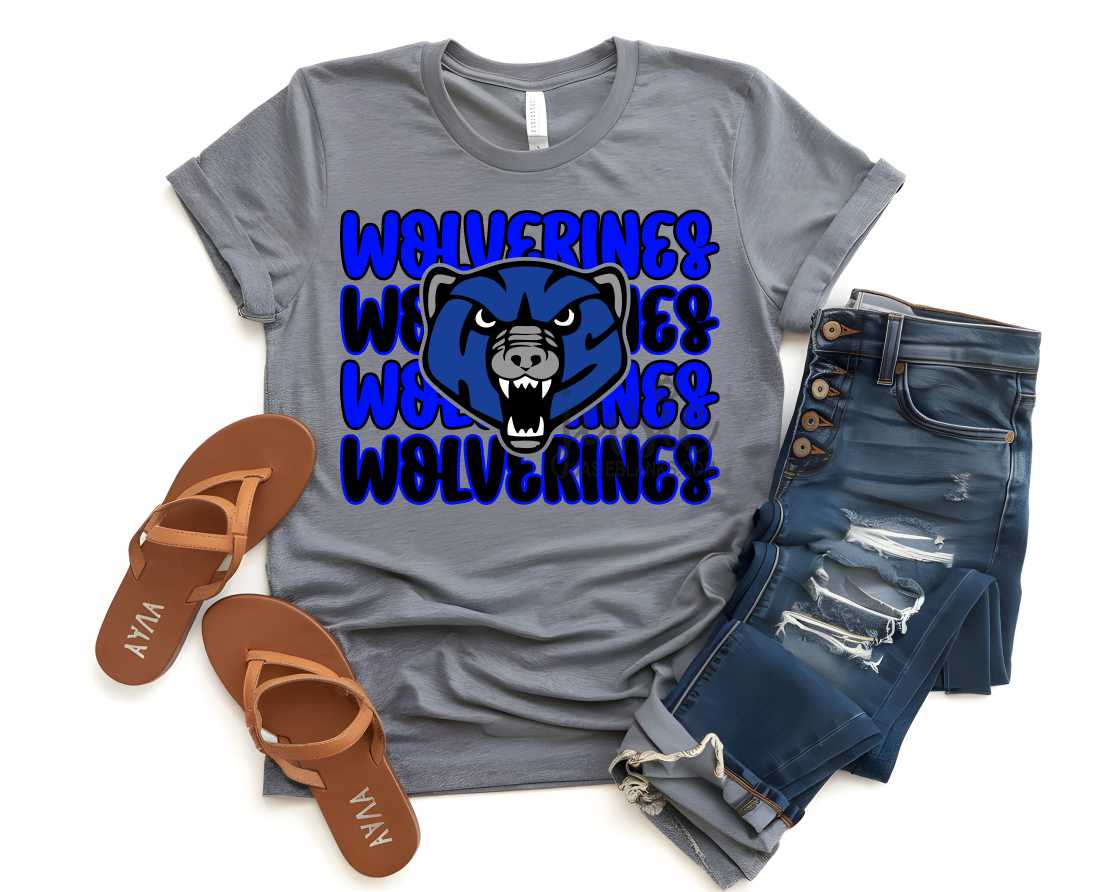 WOHS Wolverines 4 - Transfer