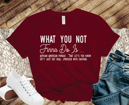 What You Not Finna Do Is - Transfer