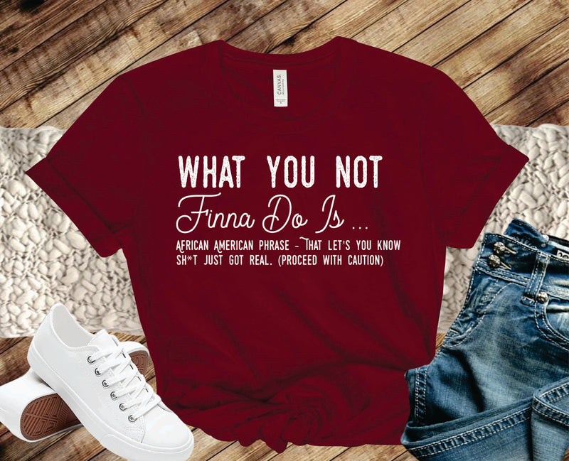 What You Not Finna Do Is - Transfer