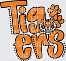 Tigers-30  - Transfer - Raw Image