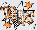 Tigers-18 - Transfer - Raw Image