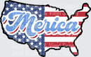 'Merica-Transfer - Raw Image