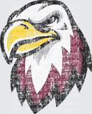 Crossett Eagles - 5  - Transfer - Raw Image
