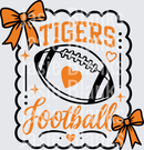 Tigers football-10 - Transfer - Raw Image