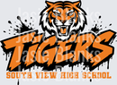 Tigers-22  - Transfer - Raw Image