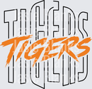 Tigers-3 - Transfer - Raw Image
