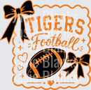 Tigers football-17 - Transfer - Raw Image