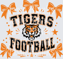 Tigers football-15 - Transfer - Raw Image