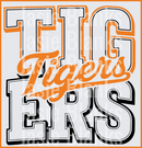 Tigers-10  - Transfer - Raw Image