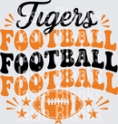 Tigers football-31 - Transfer - Raw Image