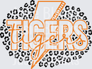Tigers-15 - Transfer - Raw Image