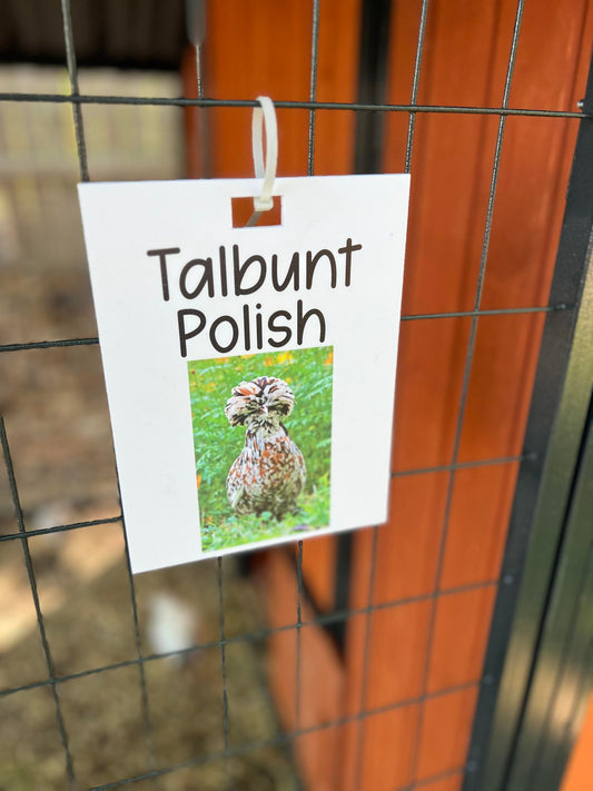 Breed Name Tags