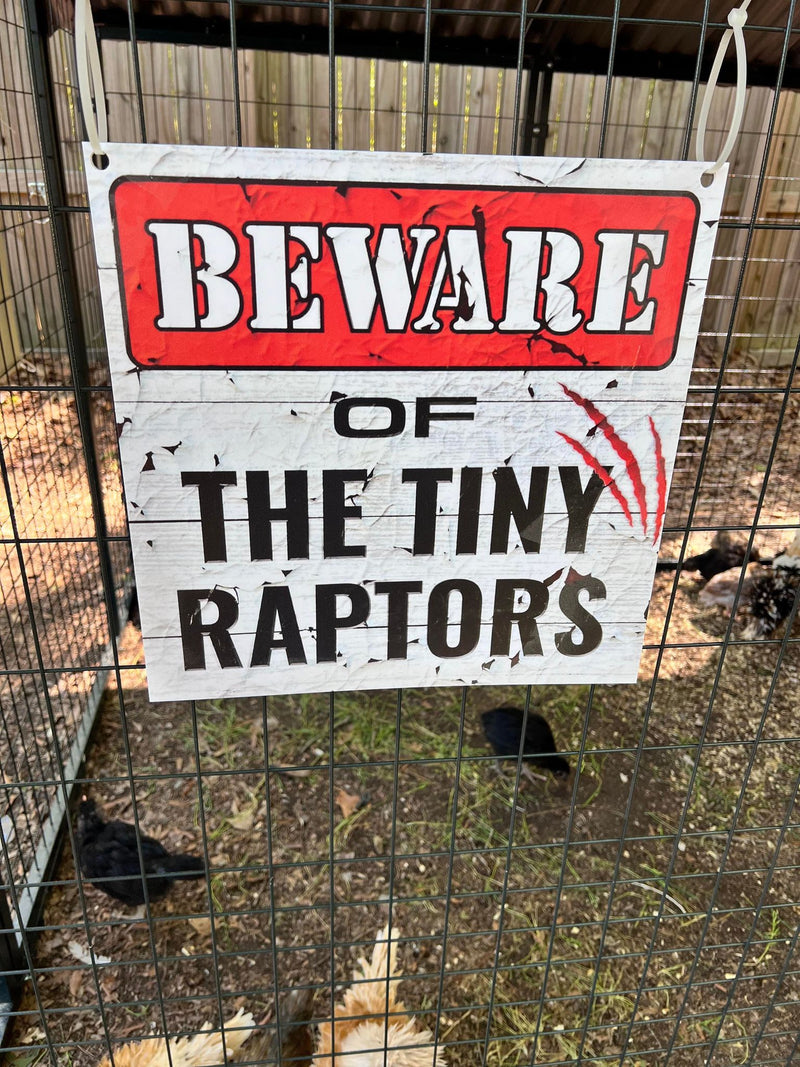Beware of the Tiny Raptors