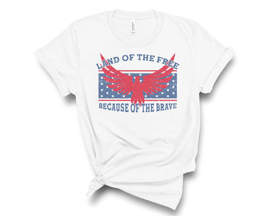 Land of the Free Eagle - Transfer
