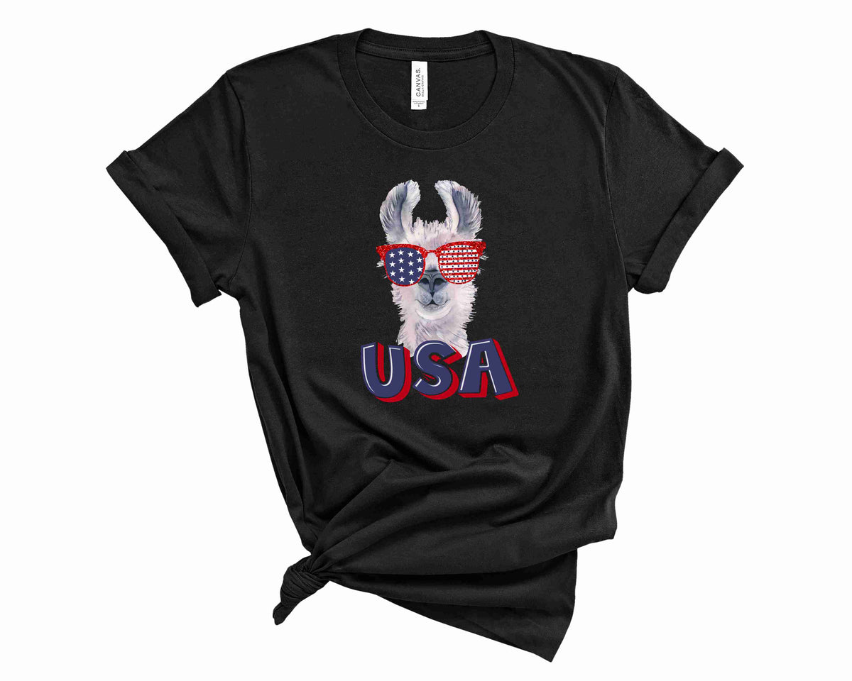 USA lama  - Transfer