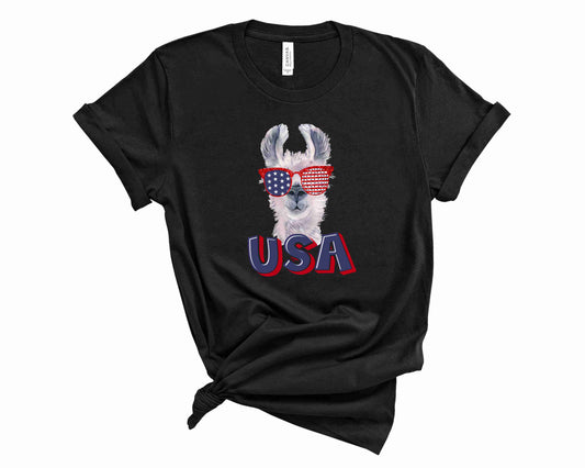 USA lama  - Transfer