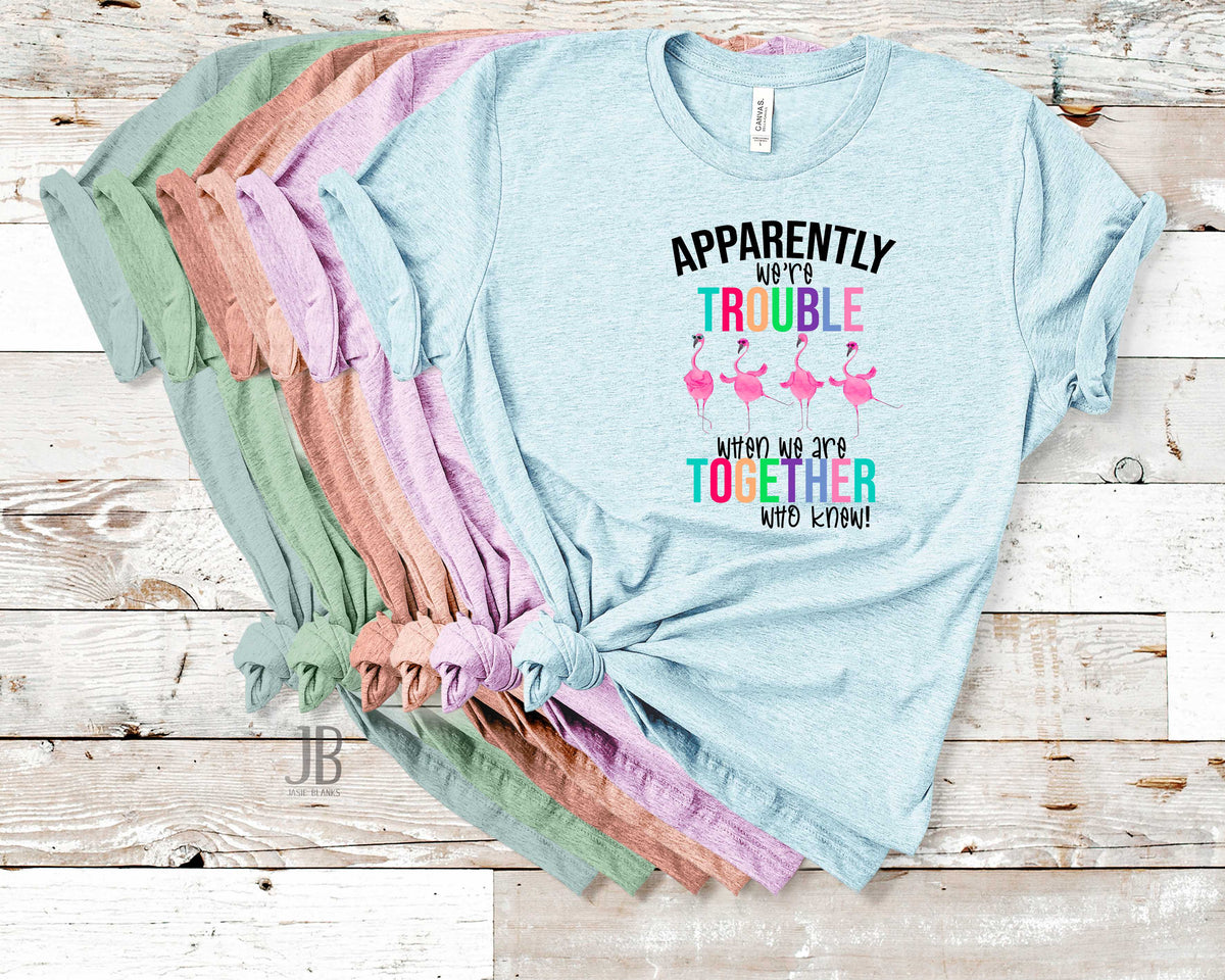Apparently We're Trouble -  Transfer